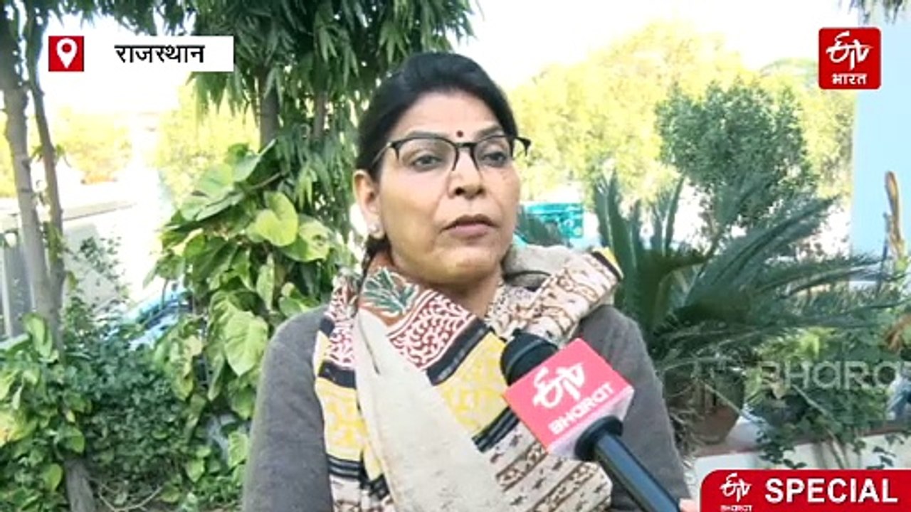 सांभर झील में ग्रेट व्हाइट पेलिकन का डेरा, दुर्लभ पक्षियों को देख पक्षी प्रेमी रोमांचित