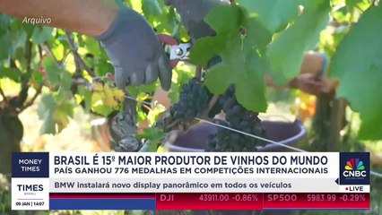 Por que o Brasil é um dos maiores produtores de vinhos do mundo? Confira análise de Jorge Lucki