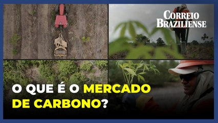 Mercado de Carbono no Brasil: Como Funciona e Sua Importância para a Amazônia 🌱