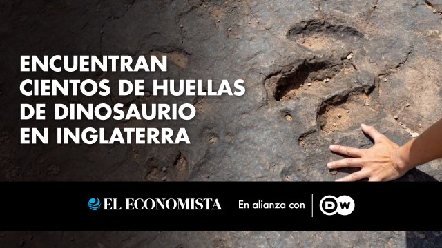 Encuentran cientos de huellas de dinosaurio en Inglaterra