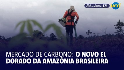 Mercado de carbono, o novo El Dorado da Amazônia brasileira?