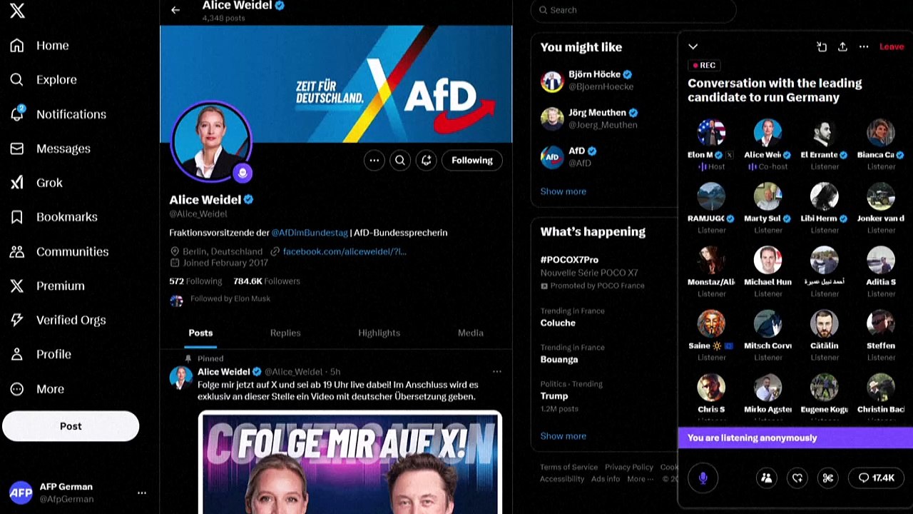 Musk wiederholt Wahlaufruf für AfD in Gespräch mit Weidel