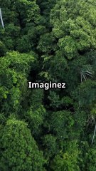 La Guyane française : Plus grande biodiversité de France et d'Europe