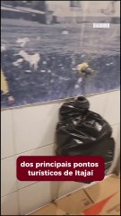 Vídeo flagra situação feiosa dos banheiros do Mercado Público