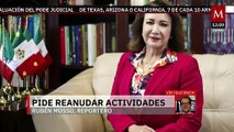Yasmín Esquivel solicita a la Corte retomar elección de juzgadores