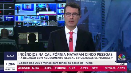 Professora comenta impactos ambientais com onda de incêndios florestais na Califórnia