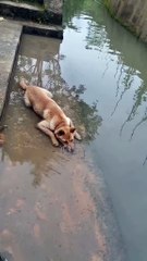 When you're heartbroken 😆