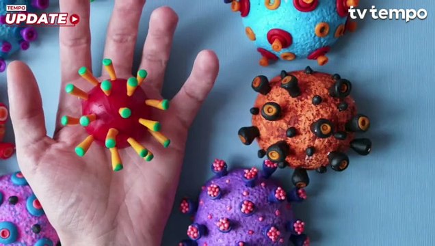 Tempo Eksplainer: Virus HMPV Sudah Masuk Indonesia, Benarkah Tidak Mematikan?