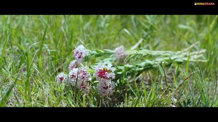 THE LAND OF WARRIORS(SUB INDO)EPISODE 8