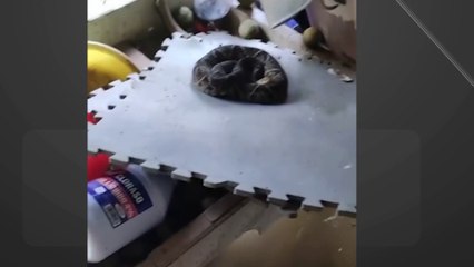 40 inundaciones se reportan en diferentes comunidades de San Carlos