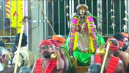 hn_ani2_trichy_devotees_throng_srirangam_temple_on_06-45-49
