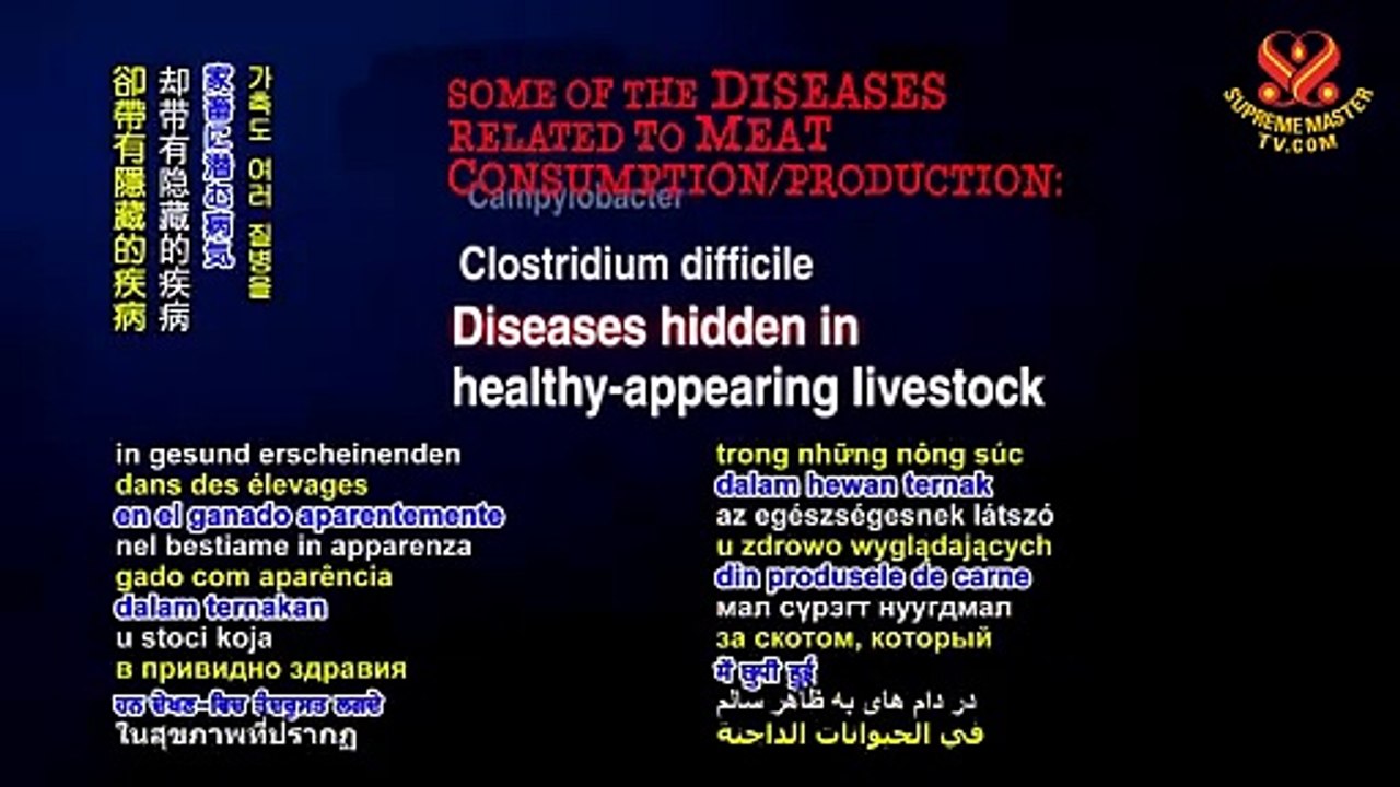 Some of the Diseases Related to Meat Consumption/Production