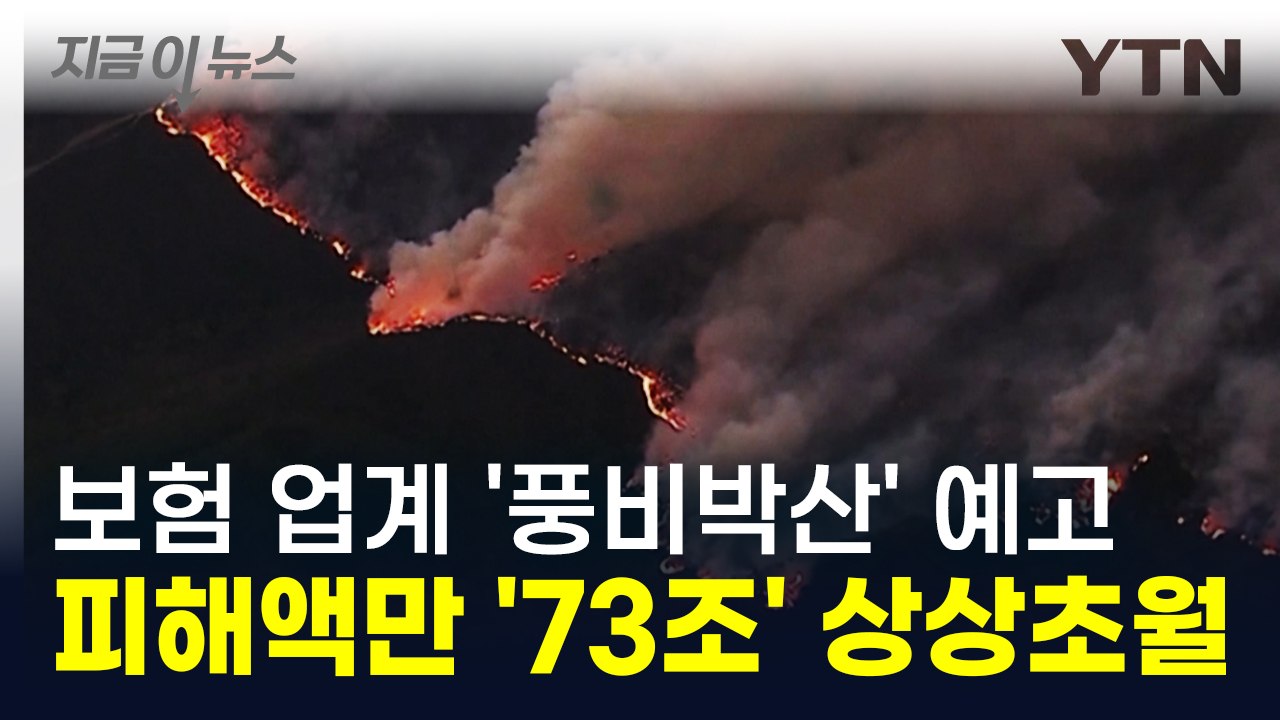 '통제불능' LA 산불에 피해액마저 감당 불가...보험사까지 떠났다 [지금이뉴스] /...