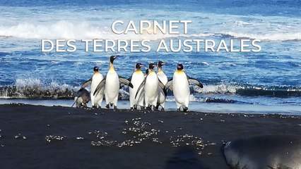Carnet des Terres Australes