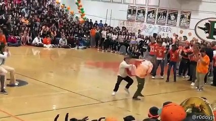 The -best-of-the-funny-cilps-