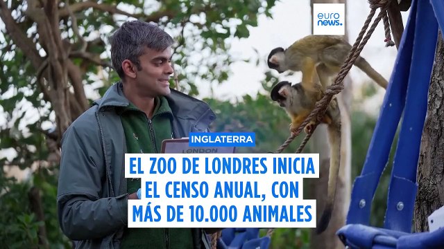 Los operarios del zoo de Londres pasan lista para realizar el censo anual de animales