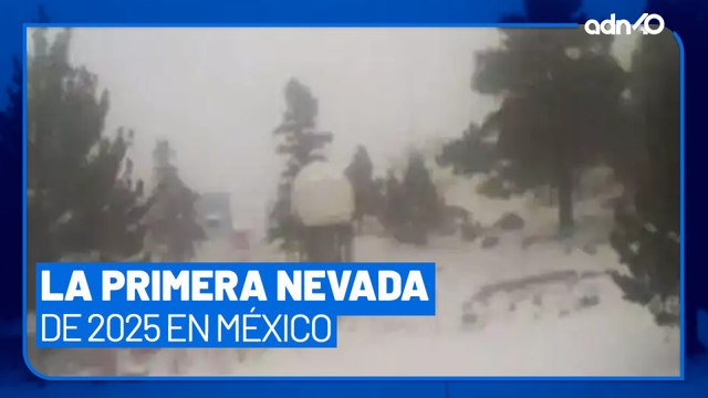 Así se vivió la primera nevada del 2025 en México, reportaron temperaturas de 0 grados