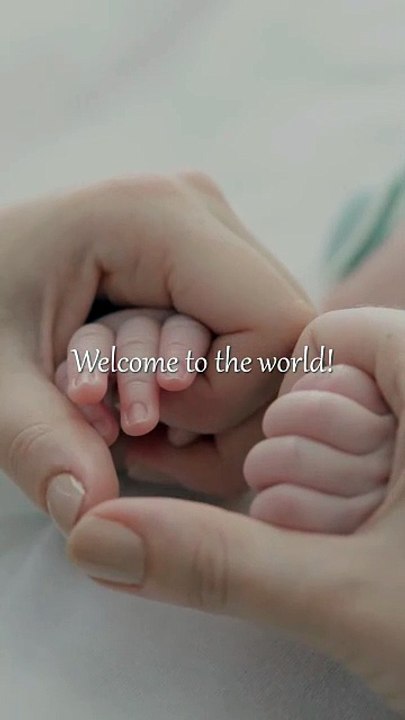 Your Everything, Our responsibility