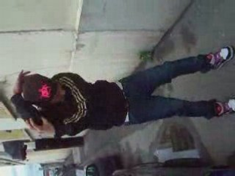 shad