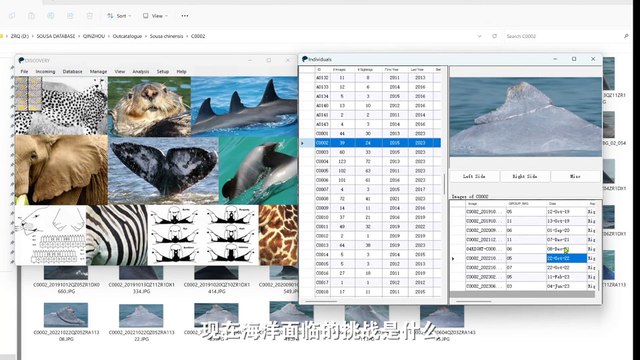 Exhibition of 2024 ISVC Outstanding Works 《A Owner of the Sea》