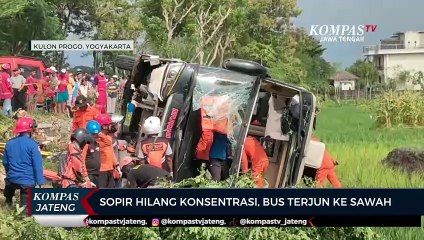 Sopir Hilang Konsentrasi, Bus Terjun ke Sawah