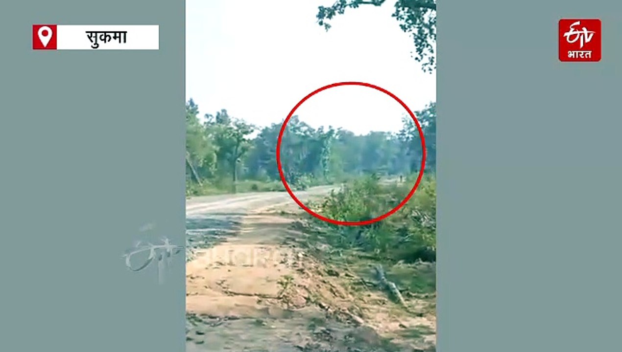 बीजापुर ब्लास्ट जैसी वारदात सुकमा में दोहराने की नक्सली साजिश, 10 किलो का IED बरामद