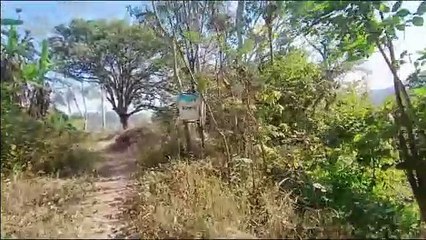 क्षेत्र से बड़े बड़े नेता होने के बाद भी ग्रामीणों को सड़क नहीं, काट रहे कालापानी जैसी सजा का