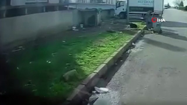 Bursa'da başıboş köpeğin saldırısına uğradı: O kaçtı, köpek kovaladı