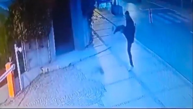 Beşiktaş'ta kediyi tekme atarak yaraladı