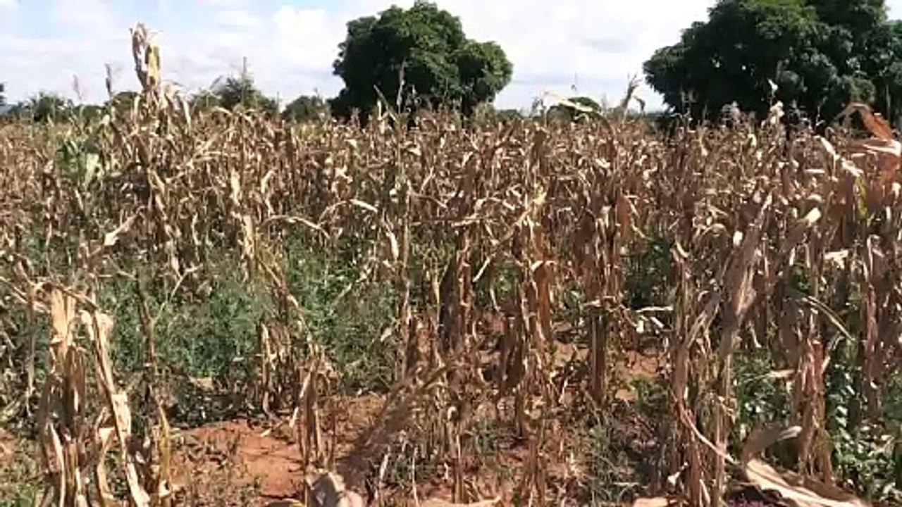 2023 und 2024 wurde Erderwärmung um mehr als 1,5 Grad überschritten