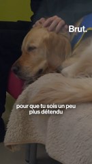 À Orléans, cet UAPED prend en charge les mineurs victimes de violences