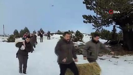 Kazdağları'nda yoğun kar yağışı nedeniyle yaban hayvanlarına yem bırakıldı