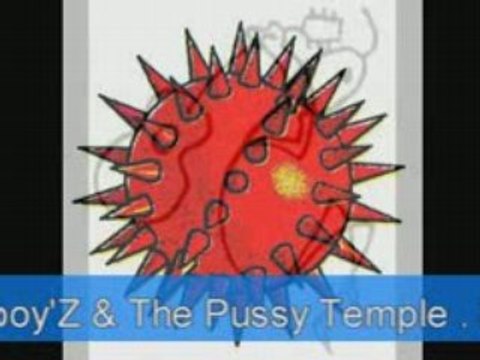 FESTIVAL ..ROCK SOUND POUDRIERE-BELFORT 3 MAI 2008