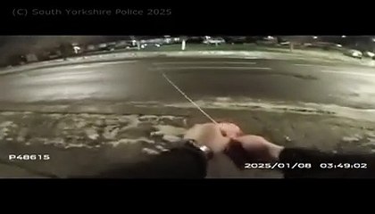 Watch: Dramatic video shows stinger used to foil trio's bid to flee South Yorkshire Police in high-speed chase