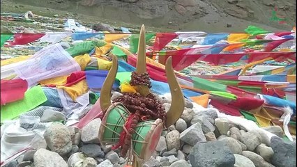 Mount Kailash Mansarovar Tour 9 Days