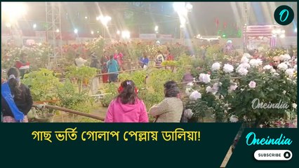 Howrah Flower fair: গাছ ভর্তি গোলাপ পেল্লায় ডালিয়া! তাক লাগাচ্ছে হাওড়া ফুল মেলা 