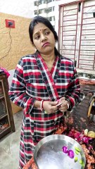 A Modern Digital Wife || Comedy || Funny