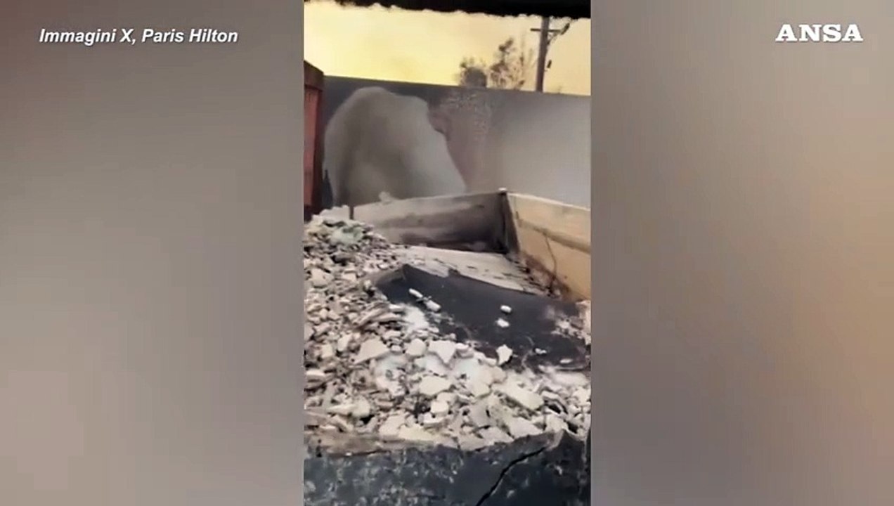 California in fiamme, Paris Hilton mostra la sua casa distrutta