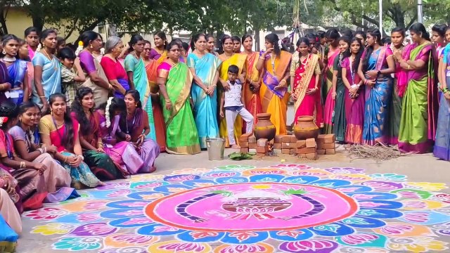 தமிழர்களின் பாரம்பரிய திருவிழா கொண்டாடப்படும் பொங்கல் விழாவை முன்னிட்டு வாலாஜாபேட்டை அரசு கல்லூரியில் 3 ஆயிரத்துக்கு மேற்பட்ட மாணவிகள் கலந்து கொண்டு சினிமா பாடலுக்கு குத்தாட்டம் போட்டு நடனம் ஆடியமடி உ
