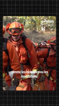 Incendies à Los Angeles : 800 prisonniers luttent contre les feux