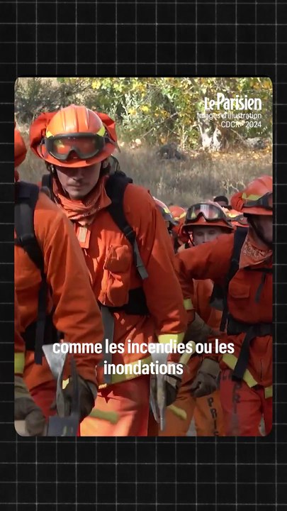 Incendies à Los Angeles : 800 prisonniers luttent contre les feux