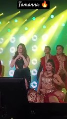 Tamanna Performance at Kolkata🔥#shorts #tamannaah #viralme #trending #trend #concert #live #fyp #yt