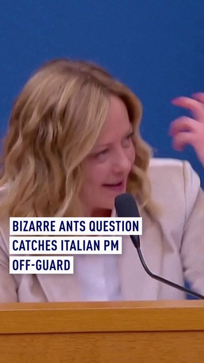 Bizarre ants question catches Italian PM off-guard