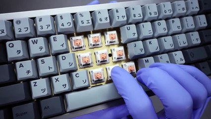 Custom Mechanical Keyboard With Holy Panda  Switches Unboxing