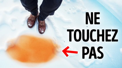 Pourquoi la neige de cette couleur est plus qu'étrange
