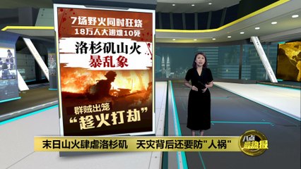 前有末日山火肆虐洛杉矶   后有人借机“趁火打劫”?