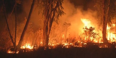 ¿Cuánto destina Panamá en la contención de incendios de masa vegetal?