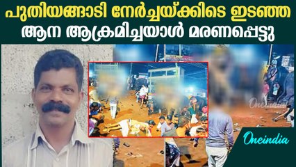 പുതിയങ്ങാടി നേർച്ചയ്ക്കിടെ ഇടഞ്ഞ ആന എടുത്തെറിഞ്ഞയാൾ മരിച്ചു