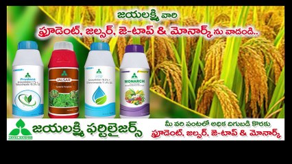 AP_PRATIDWANI_19-21-17