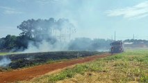 Incêndio atinge grande área de vegetação no bairro Floresta